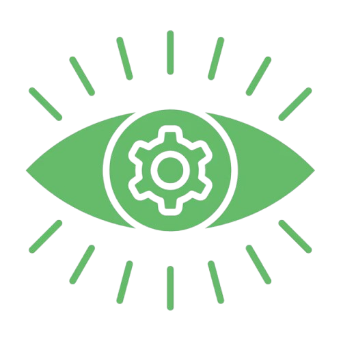 Vision